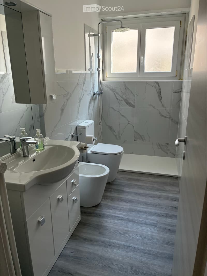 Appartamento 3.5 appena ristrutturato (3)