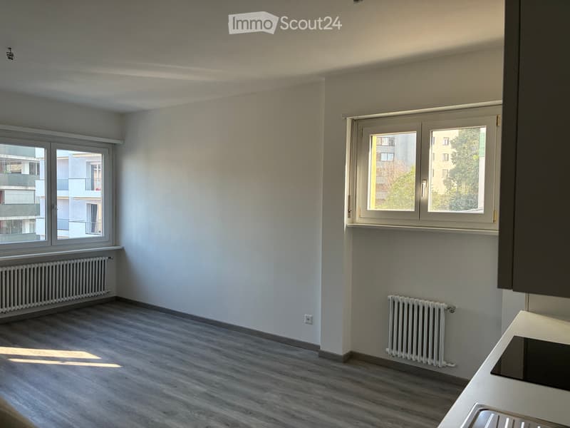 Appartamento 3.5 appena ristrutturato (2)