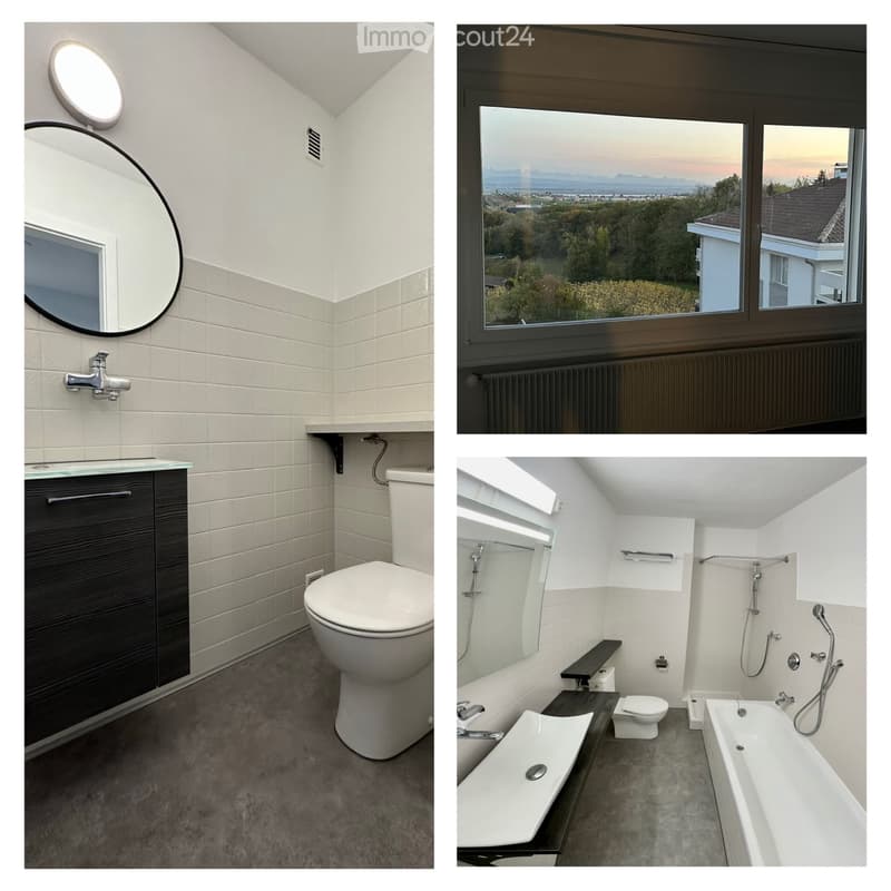 Spacieux 5.5 pc avec cheminée, piscine et vue sur lac (3)