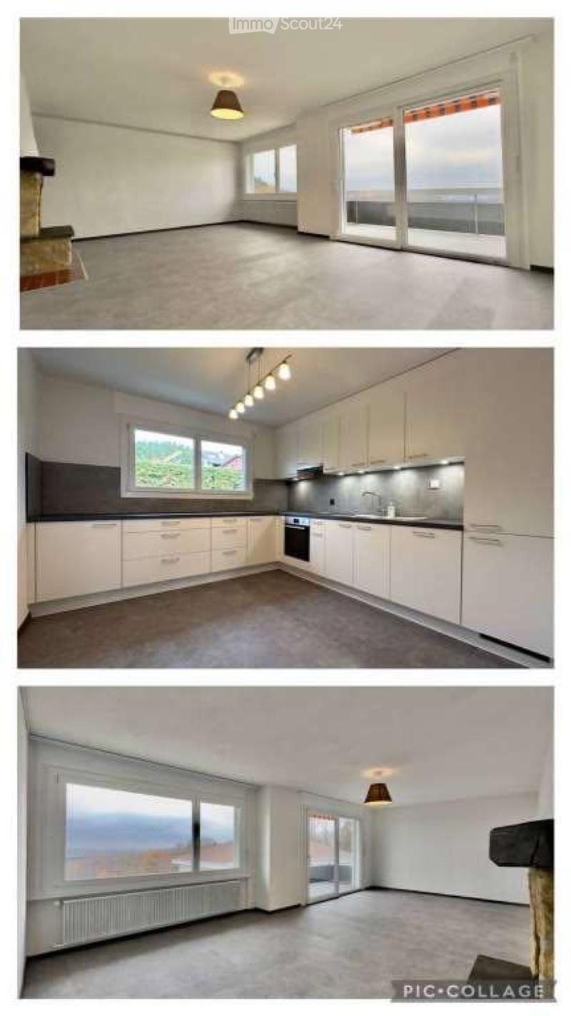 Spacieux 5.5 pc avec cheminée, piscine et vue sur lac (2)