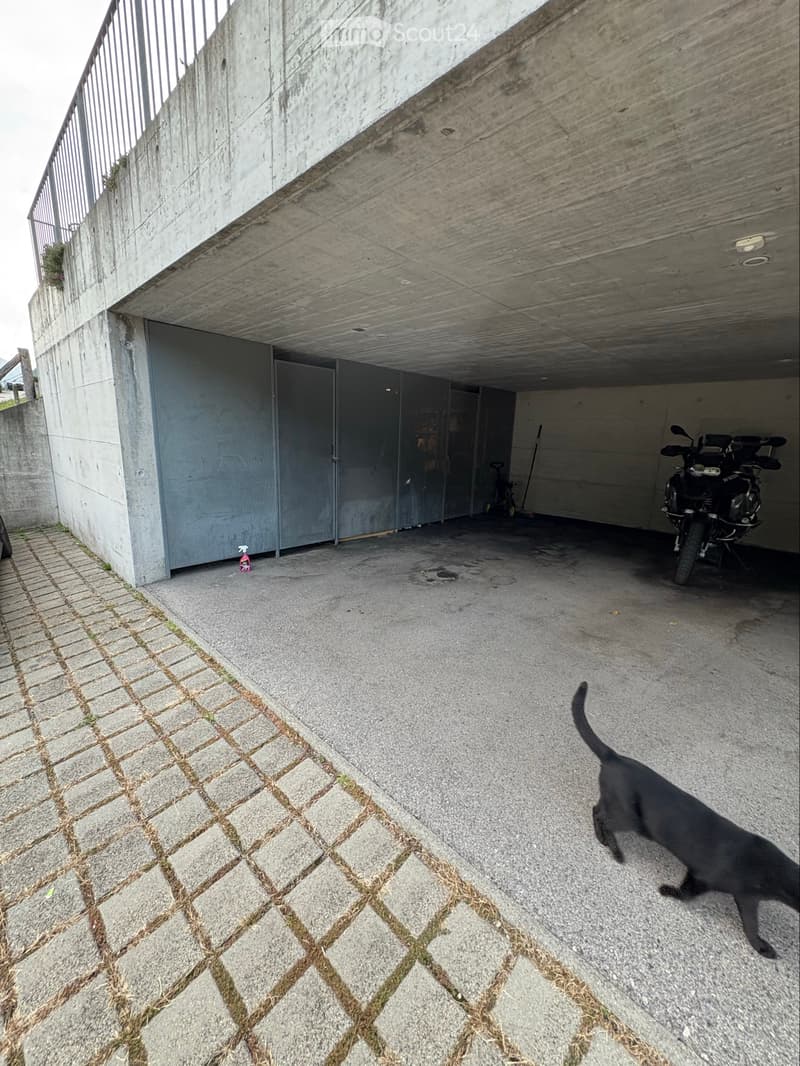 Casa 5,5 locali con ampio giardino privato (4)