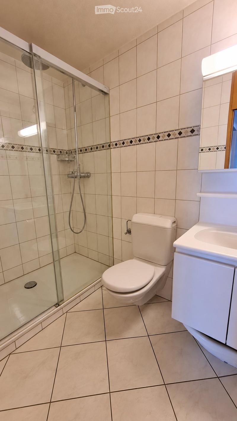 4.5-Zimmer-Wohnung in Visp zu vermieten (5)