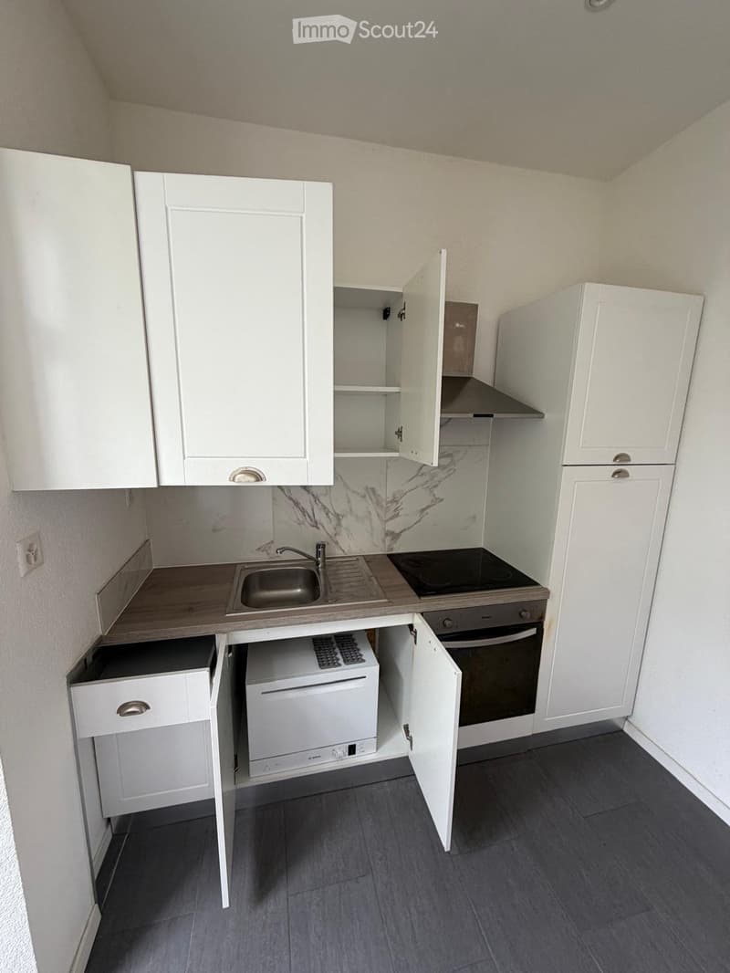 5 appartements à louer dans une maison entièrement rénovée (5)