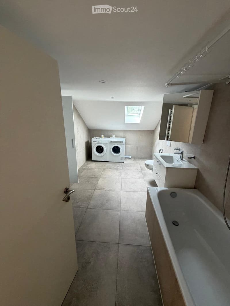 5 appartements à louer dans une maison entièrement rénovée (2)