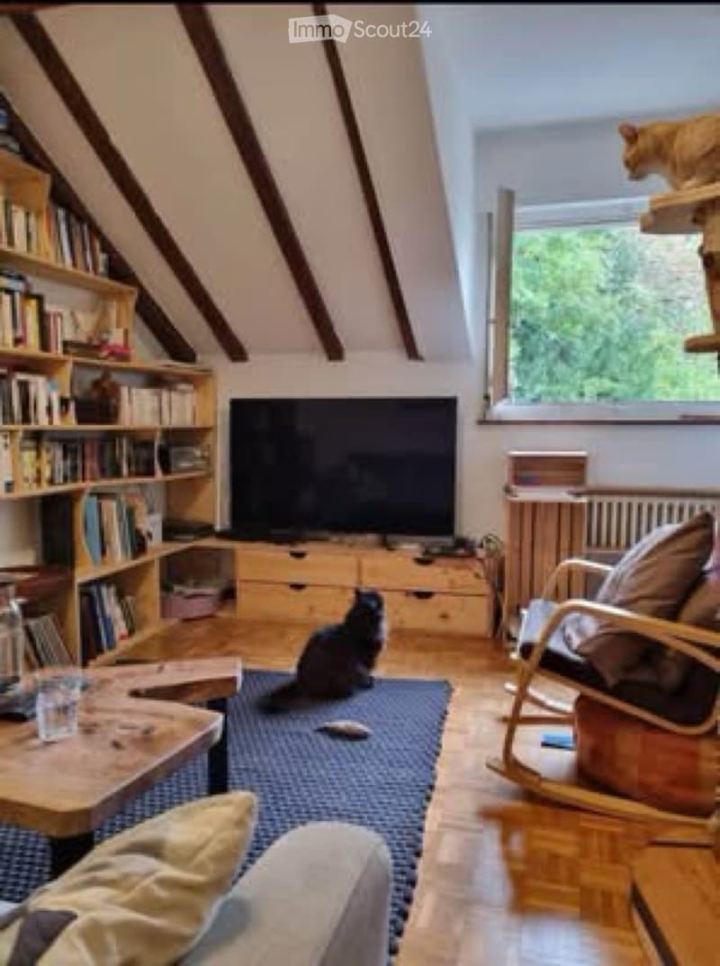 Magnifique, petit appartement, Genève (2)
