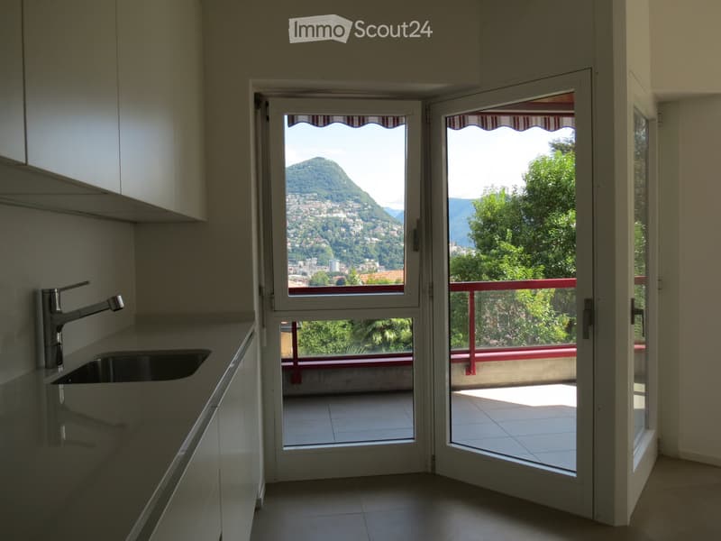 Lugano, 2.5 locali con bella vista a due passi dal centro (3)