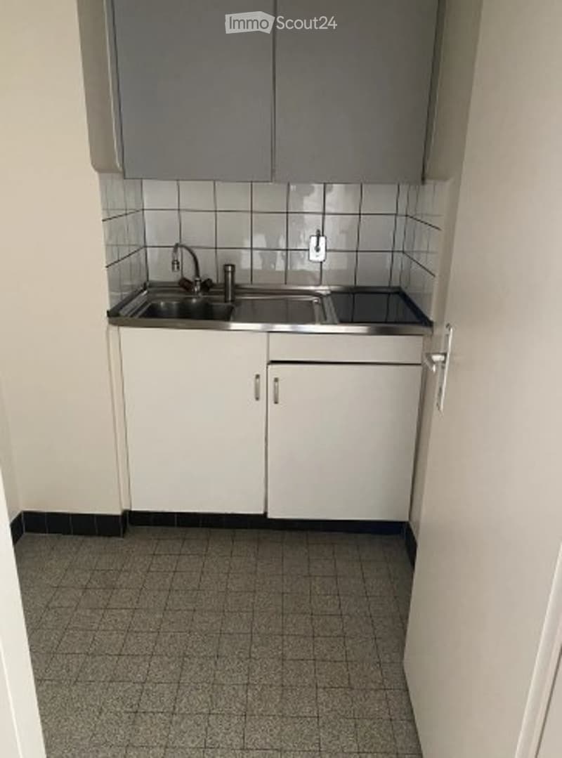 Magnifique studio à Genève (3)