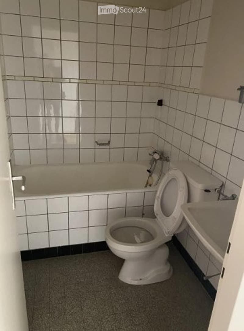 Magnifique studio à Genève (4)