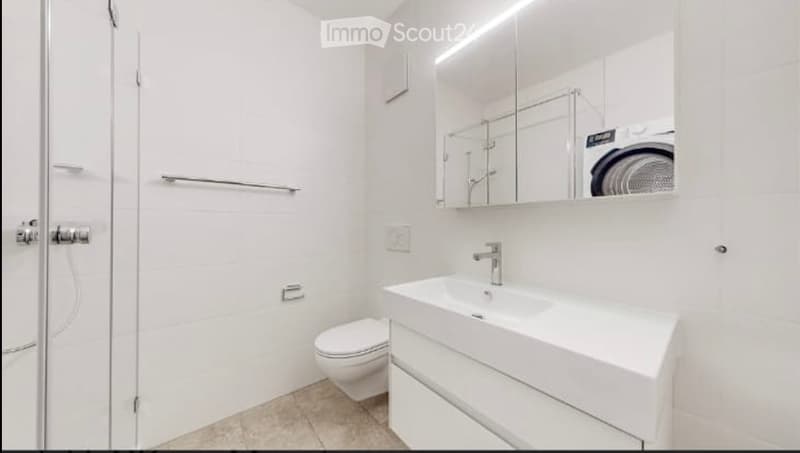 befristete Untermiete 3.5 duplex wohnung wiedikon (3)