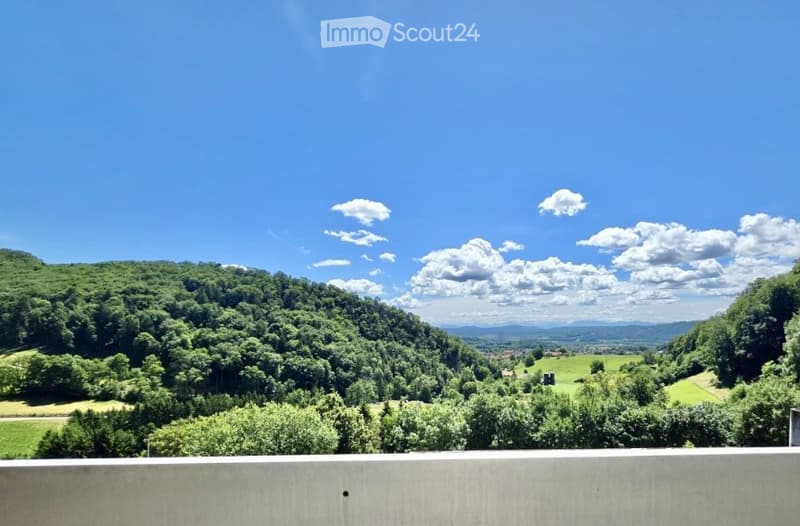 Schöne Wohnung mit toller Aussicht (2)