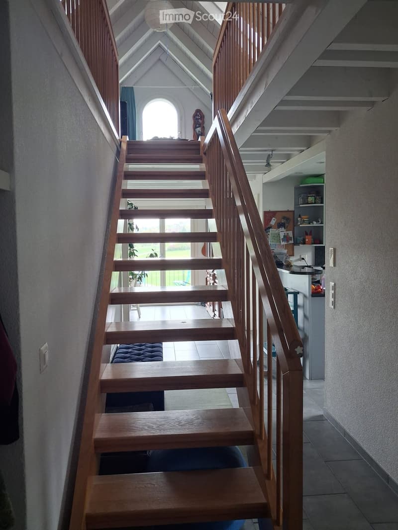 Mitbewohner-in gesucht (2)