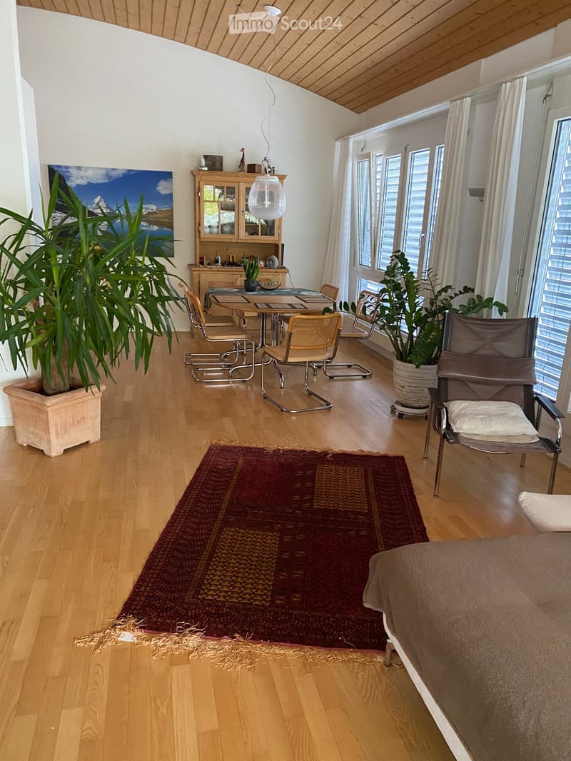 Zimmer in einer grossen Wohnung, kein Studio (2)