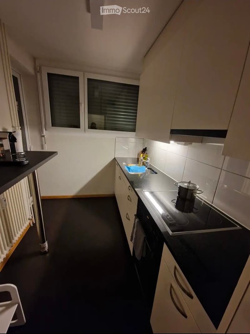 3.5-Zimmer-Wohnung in Basel-Gundeli (5)