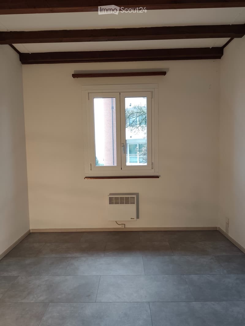 Affitto a S.Nazzaro / Gambarogno , appartamento 4.5 locali (1)