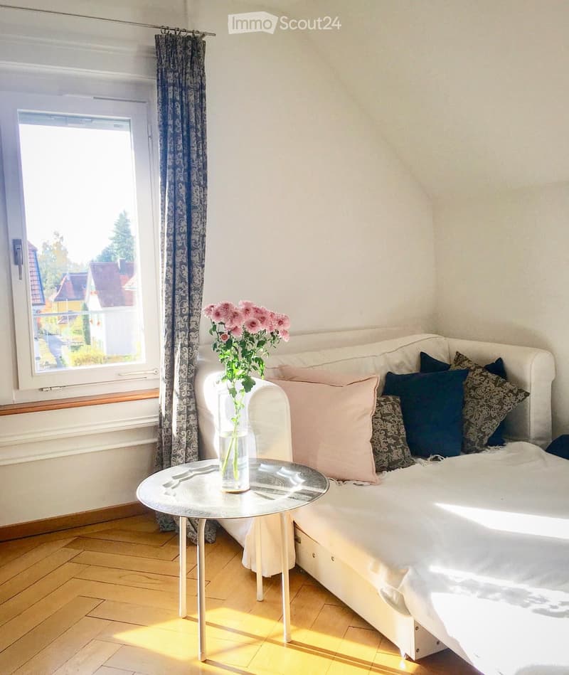 Charmante 3 Zimmer Wohnung mit lichtdurchfluteter Mansarde (2)