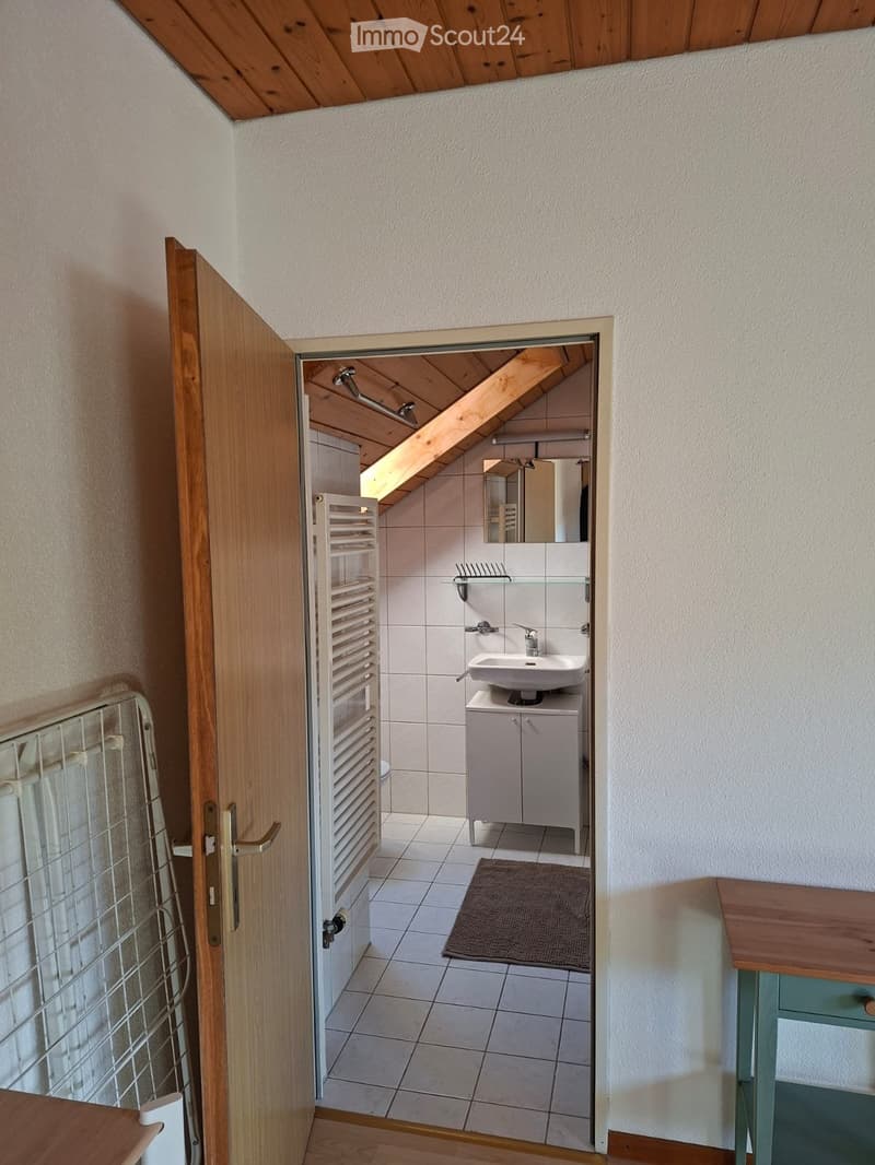 Möbiliertes Studio (4)