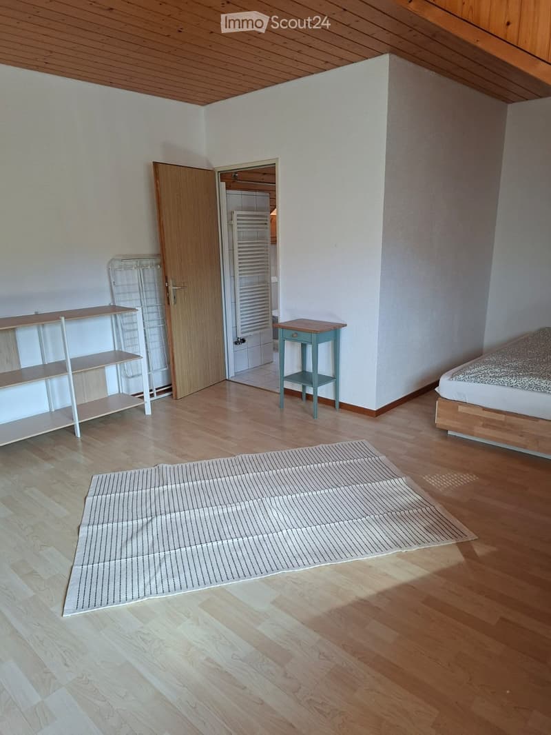 Möbiliertes Studio (3)