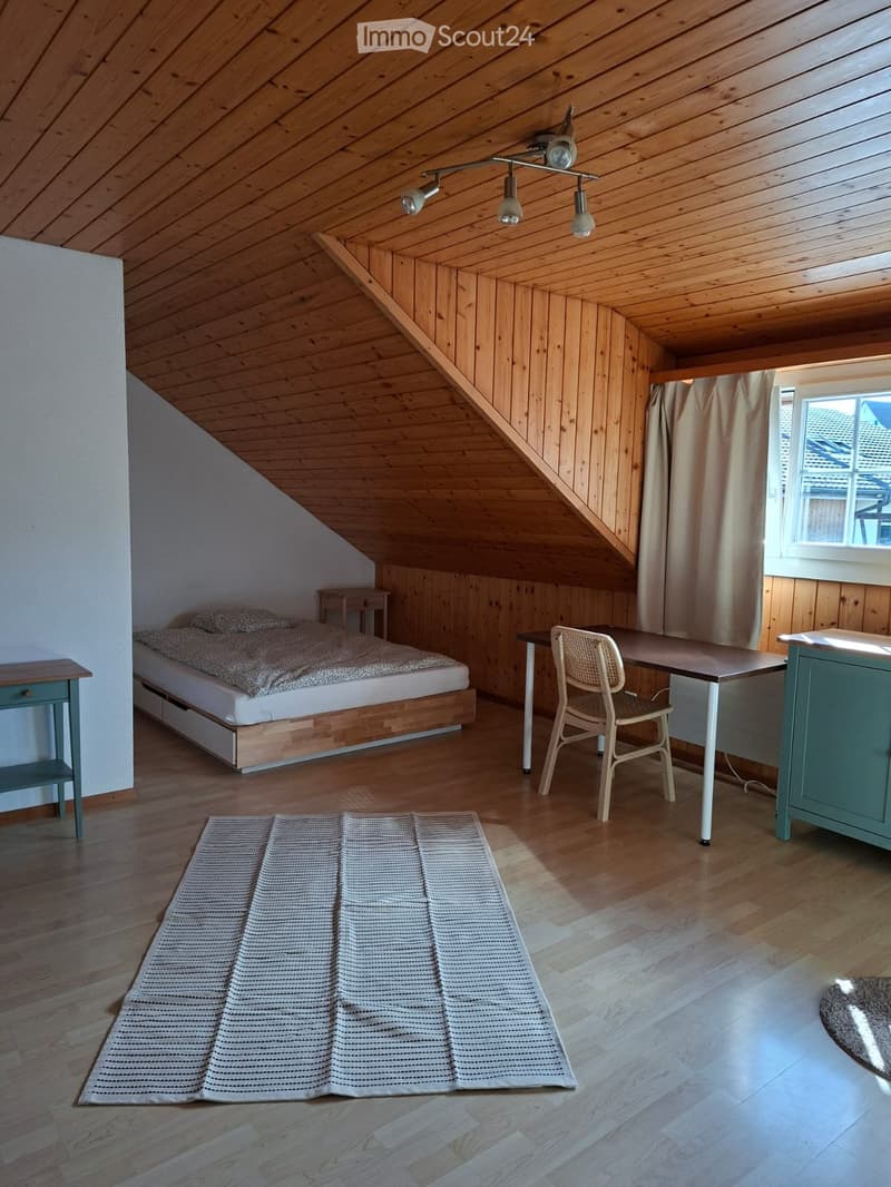 Möbiliertes Studio (2)