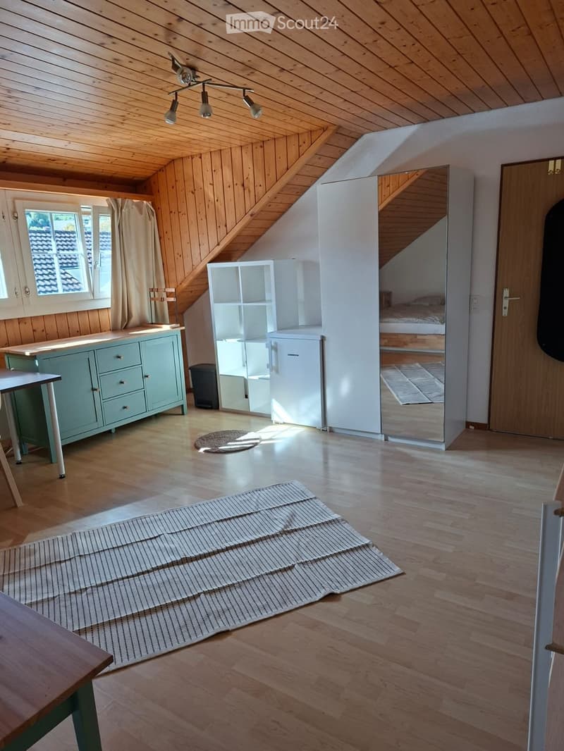 Möbiliertes Studio (1)