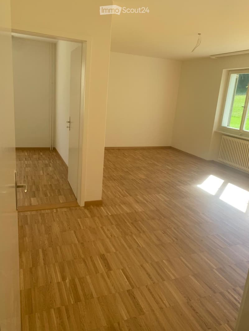 Schöne Gartenwohnung in Winterthur (3)