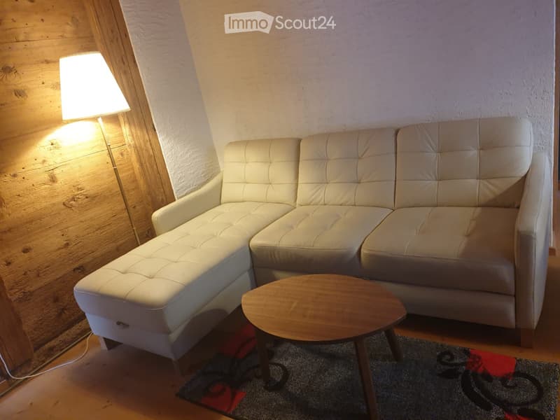 2 Zi. - Wohnung mit grosser Terrasse und Autoabstellplatz (5)
