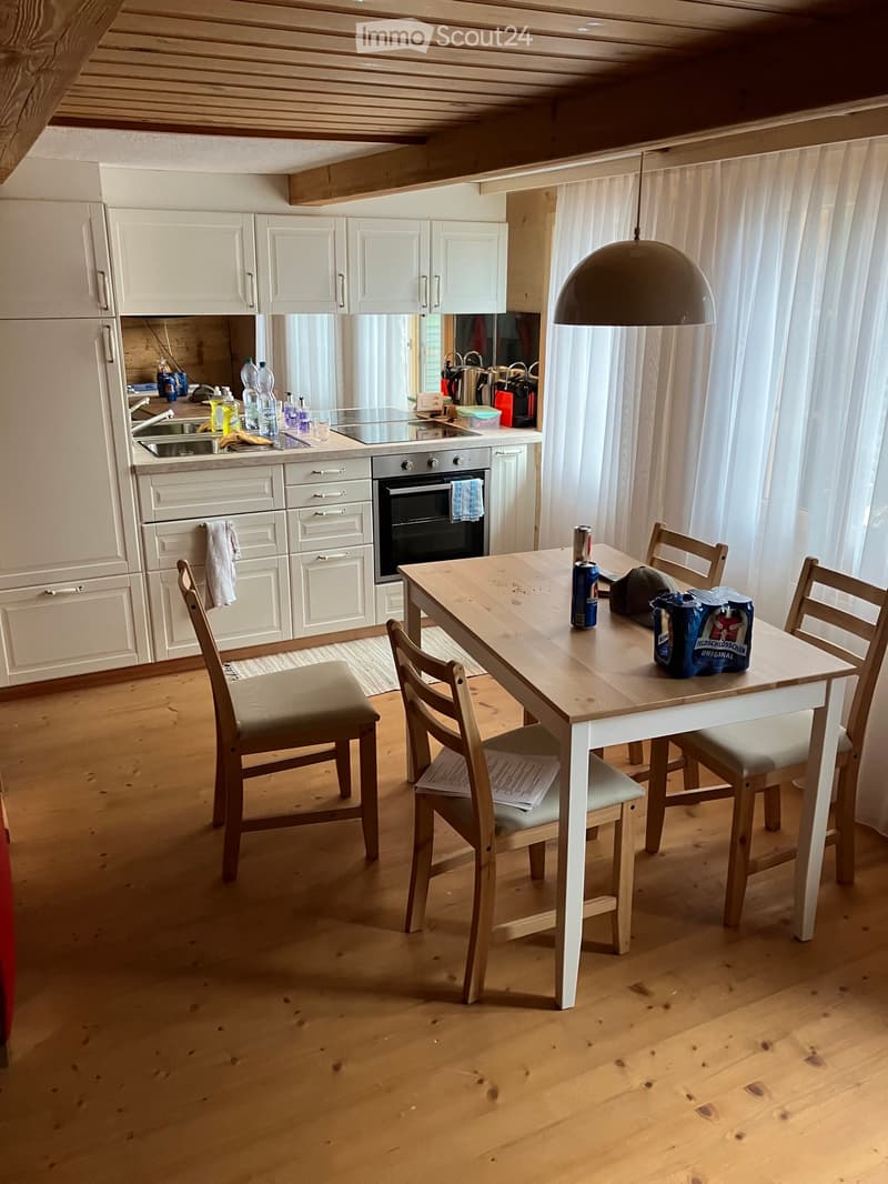 2 Zi. - Wohnung mit grosser Terrasse und Autoabstellplatz (6)