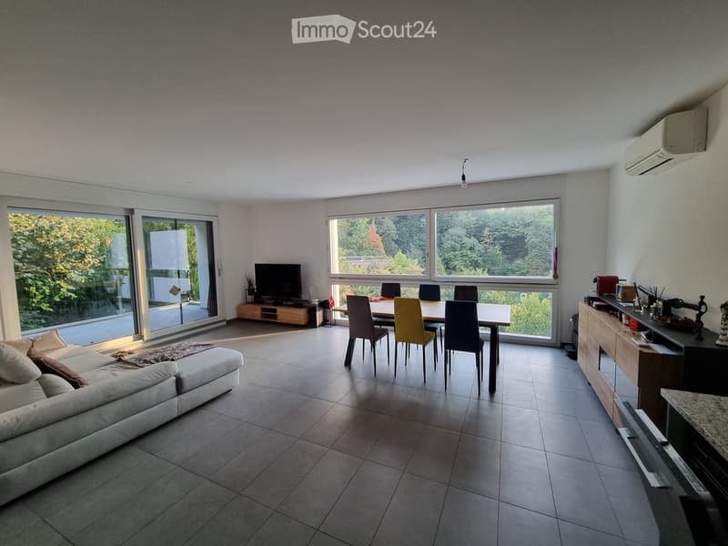 Appartamento 3.5 locali a Pregassona alta (1)
