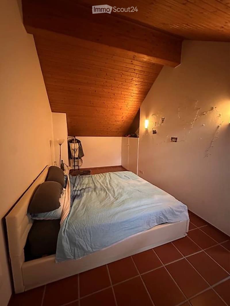 Cercasi subentrante Locarno (3)