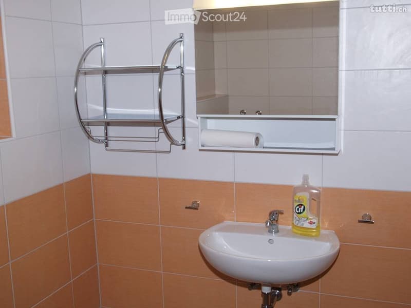 affitto 2 locali, porta blindata (5)