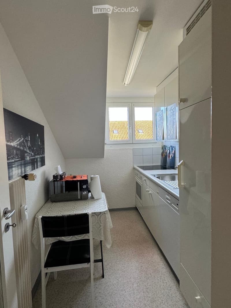 2 Zimmer-Dachwohnung (3)