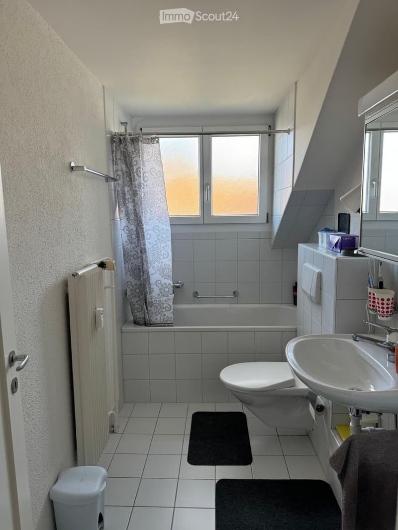 2 Zimmer-Dachwohnung (4)