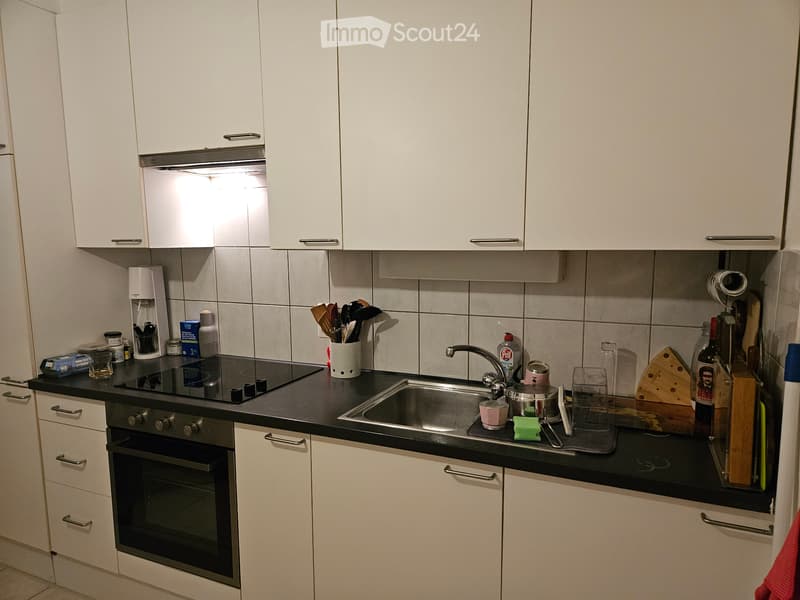 Helle 1.5-Zimmer-Dachwohnung in Brugg (2)