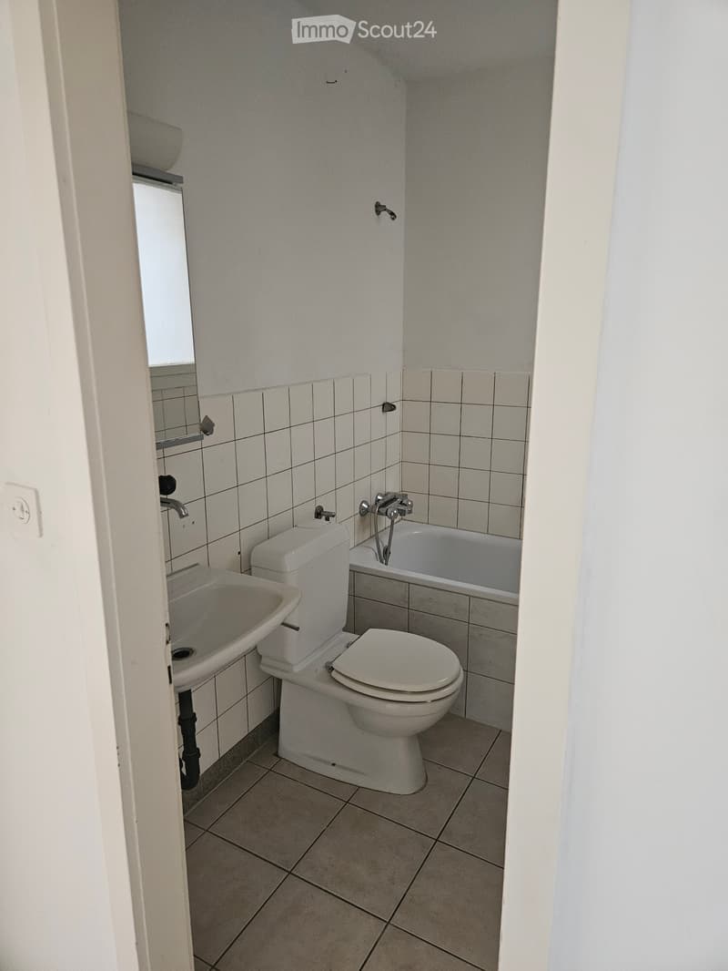 Helle 1.5-Zimmer-Dachwohnung in Brugg (4)