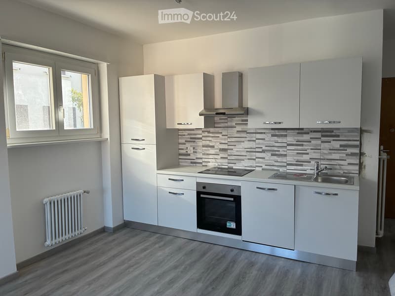 Appartamento 3.5 appena ristrutturato (1)