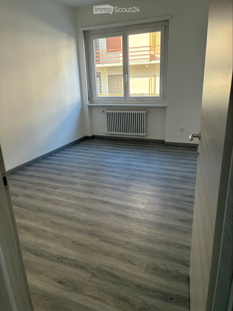 Appartamento 3.5 appena ristrutturato (4)
