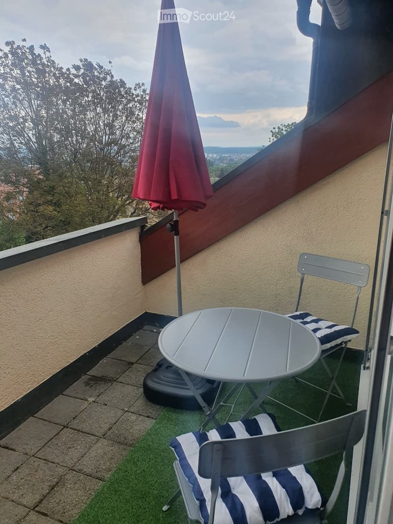 Sehr schöne, vollmöbilierte 3,5 Zimmer Wohnung (1)
