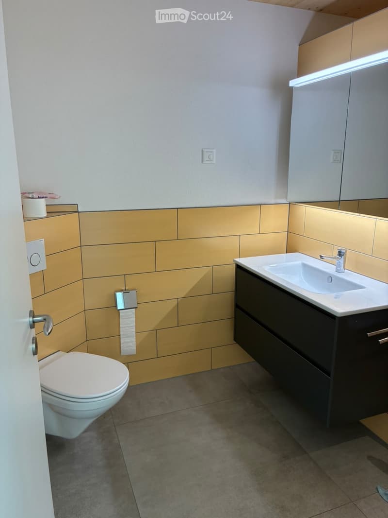Moderne Doppelhaushälfte in Frauenfeld (3)