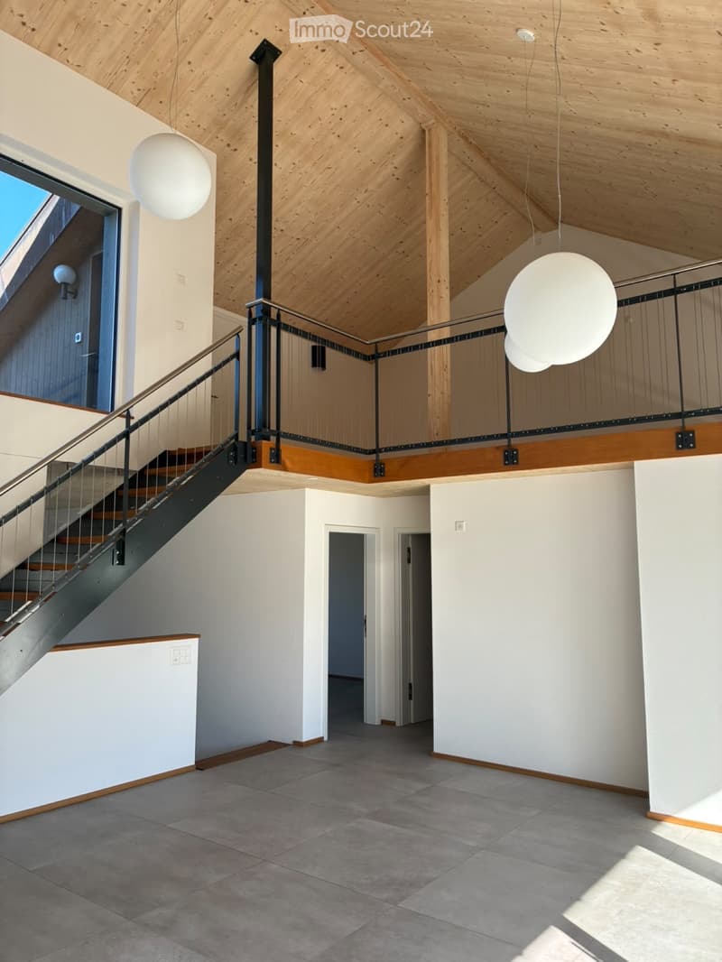 Moderne Doppelhaushälfte in Frauenfeld (4)