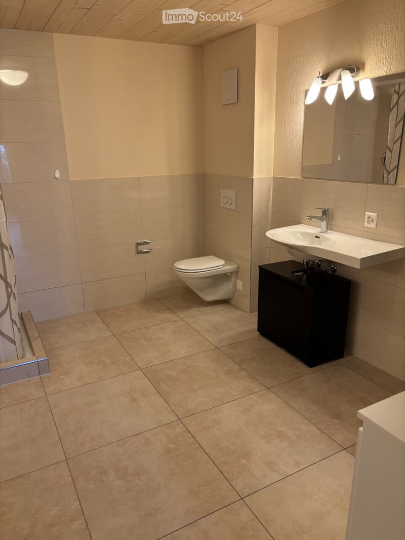 ruhiges 1.5 Zimmer Studio (4)