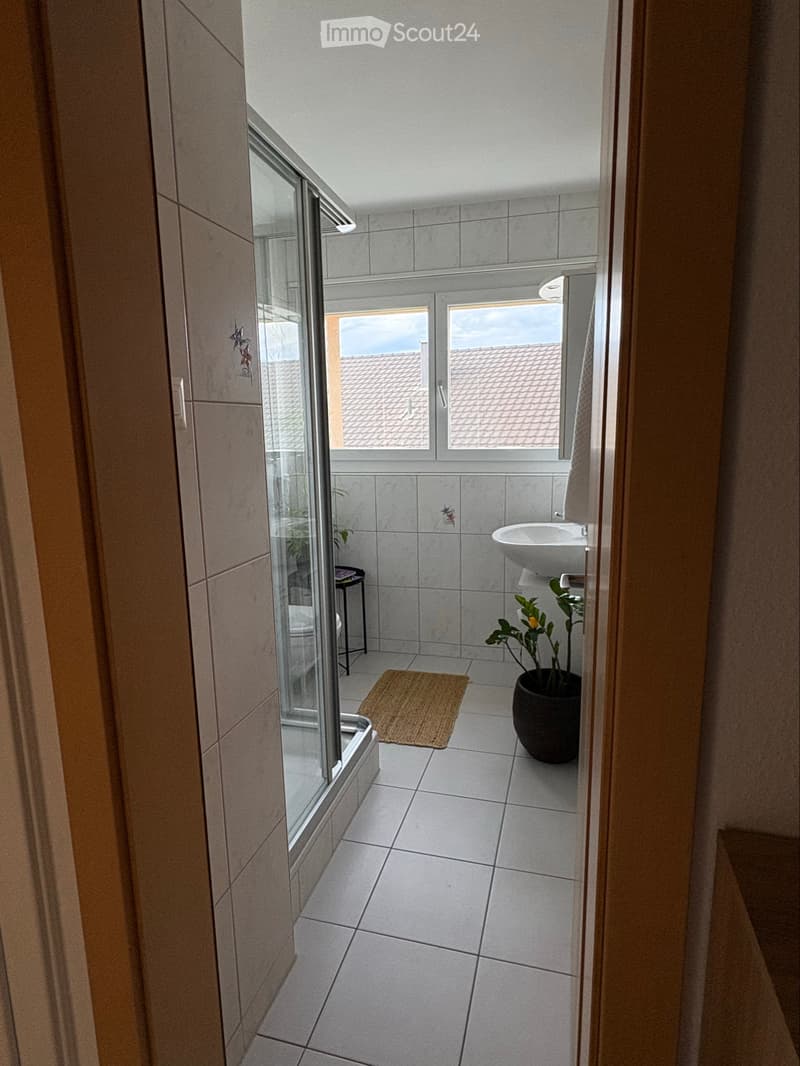 Nachmieter gesucht 2.5-Zimmer-Wohnung in Luzern Maihof (2)