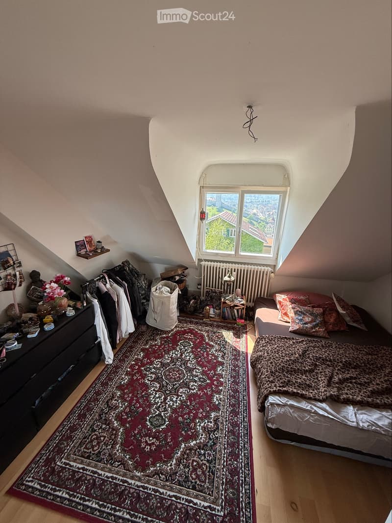 Helle 3 Zimmer Dachwohnung mit schöner Aussicht (3)