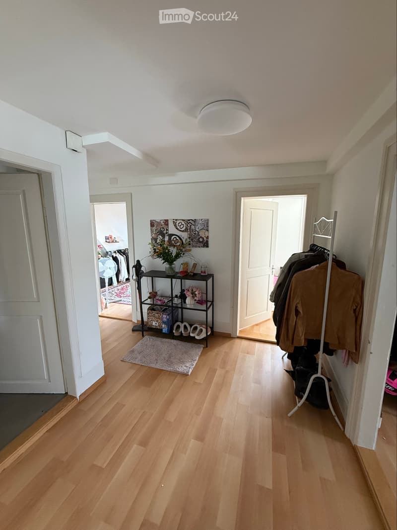 Helle 3 Zimmer Dachwohnung mit schöner Aussicht (2)