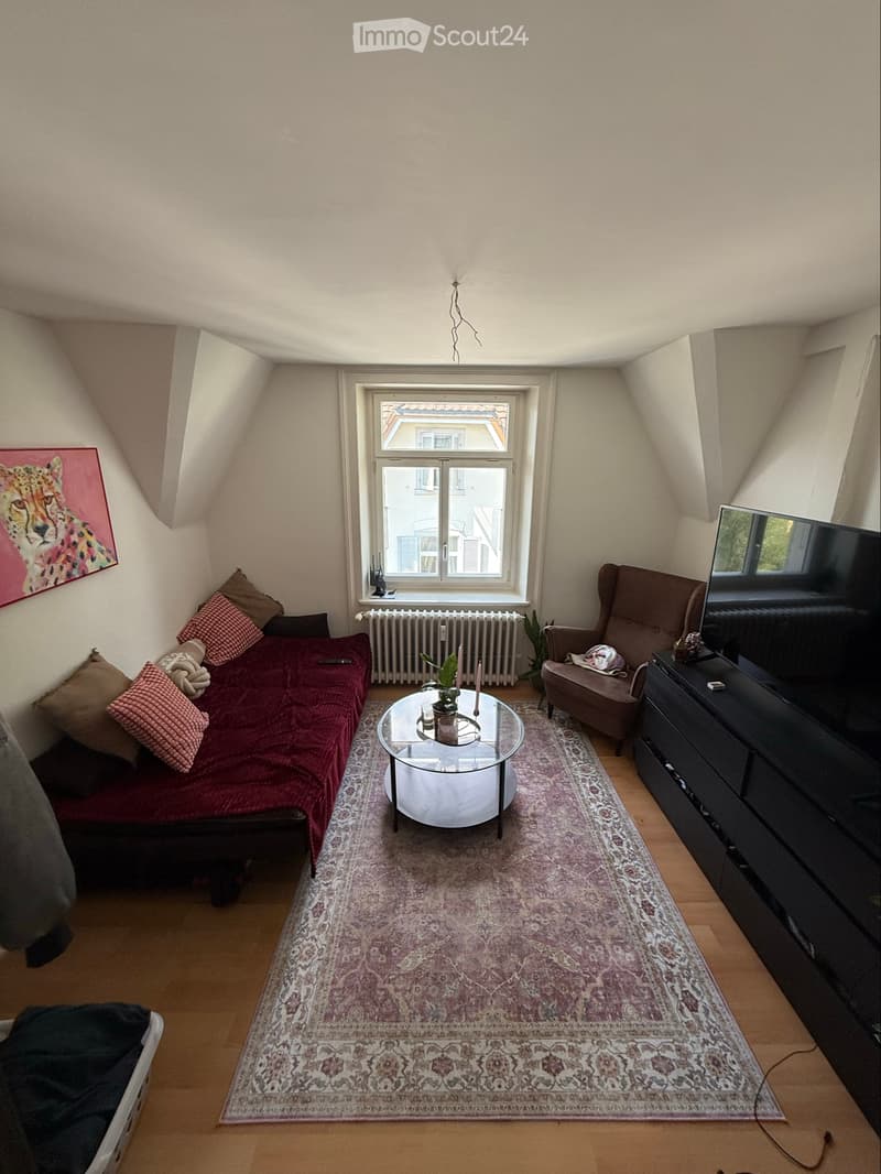 Helle 3 Zimmer Dachwohnung mit schöner Aussicht (1)
