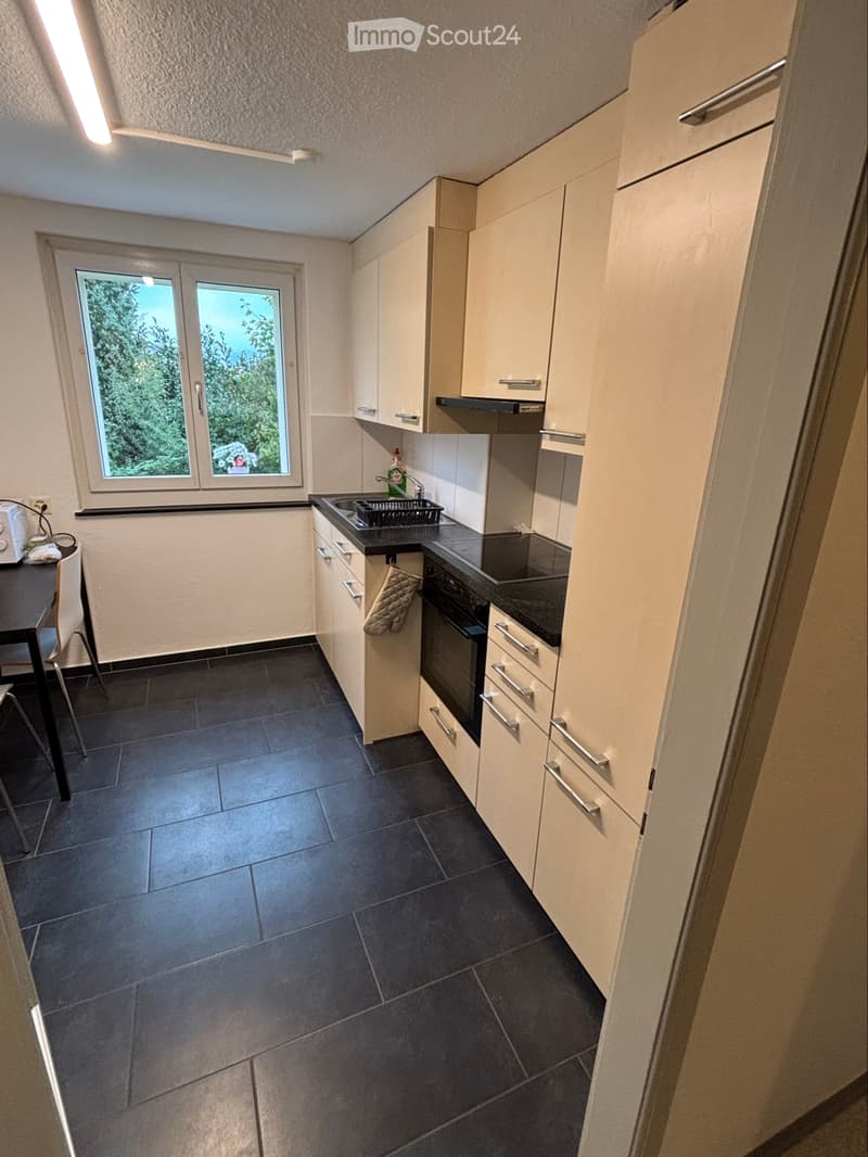3,5/ Zimmer-Wohnung EG - nachmieter sucht ab 01. Januar (3)
