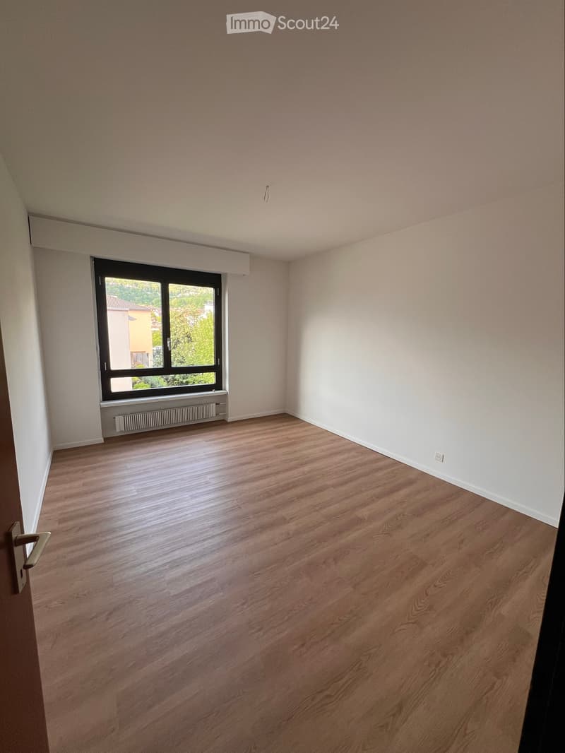 Appartamento 3,5 locali Ponte Capriasca (3)