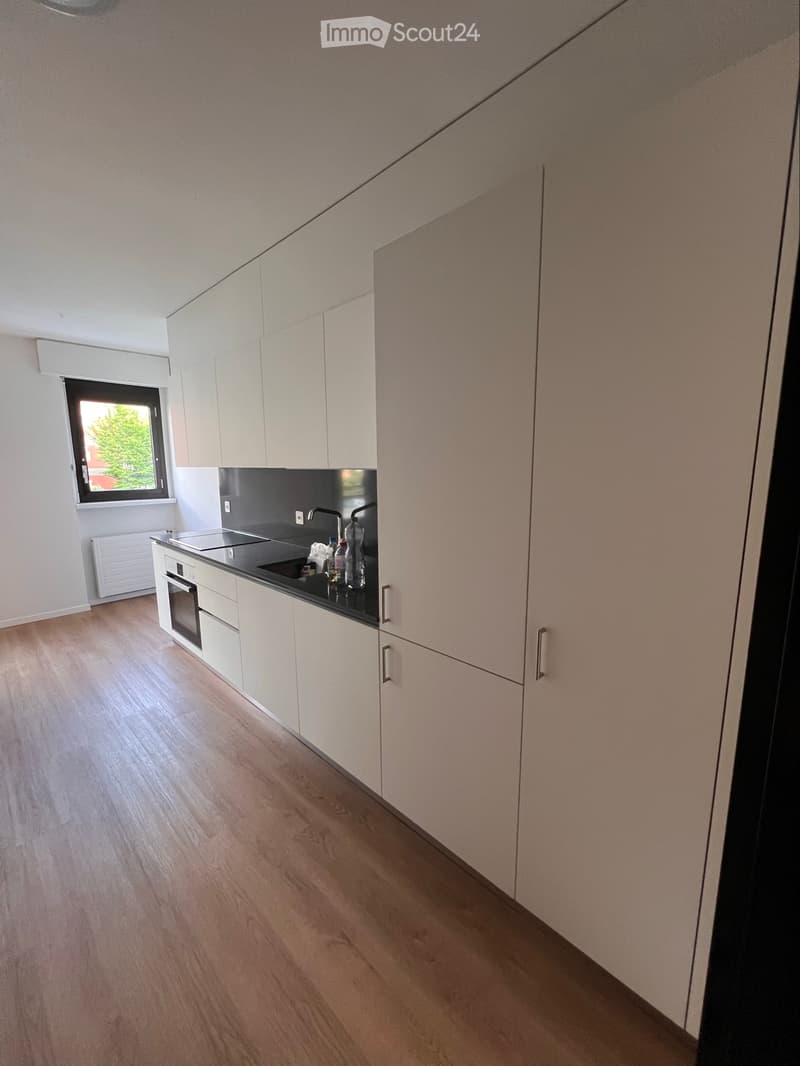 Appartamento 3,5 locali Ponte Capriasca (2)
