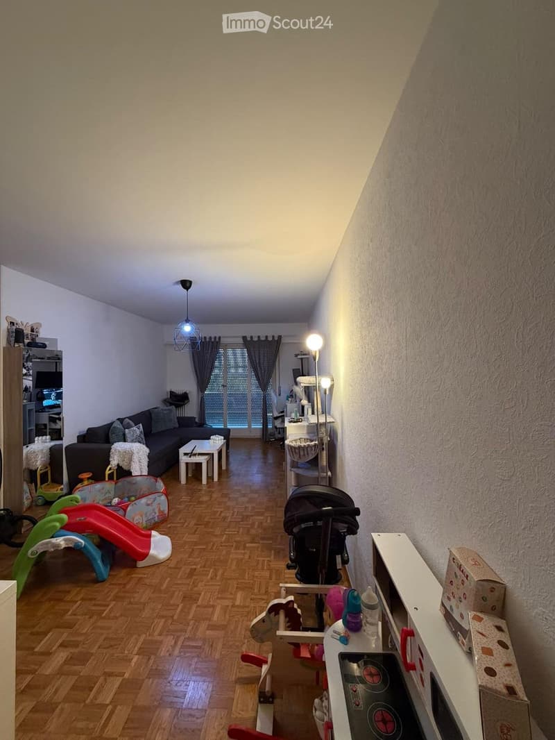 Appartement lumineux de 2,5 pièces à loue (2)