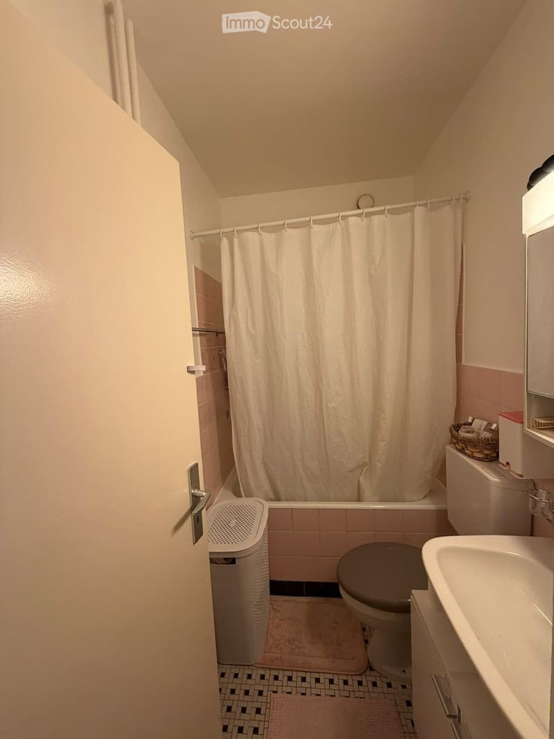 Appartement lumineux de 2,5 pièces à loue (4)