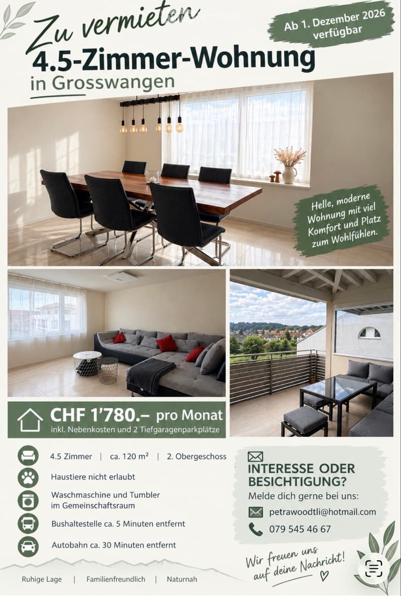 Wohnung Grosswangen (1)