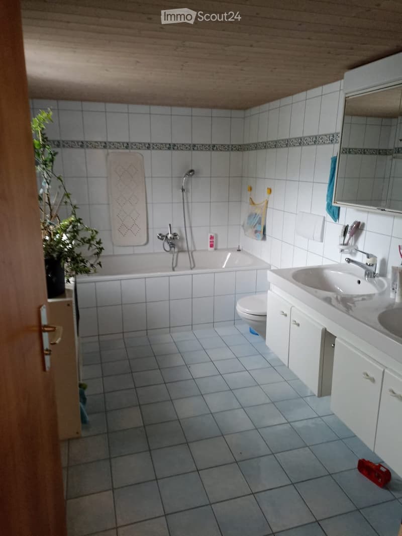 4,5 Zimmer Attika Wohnung (4)